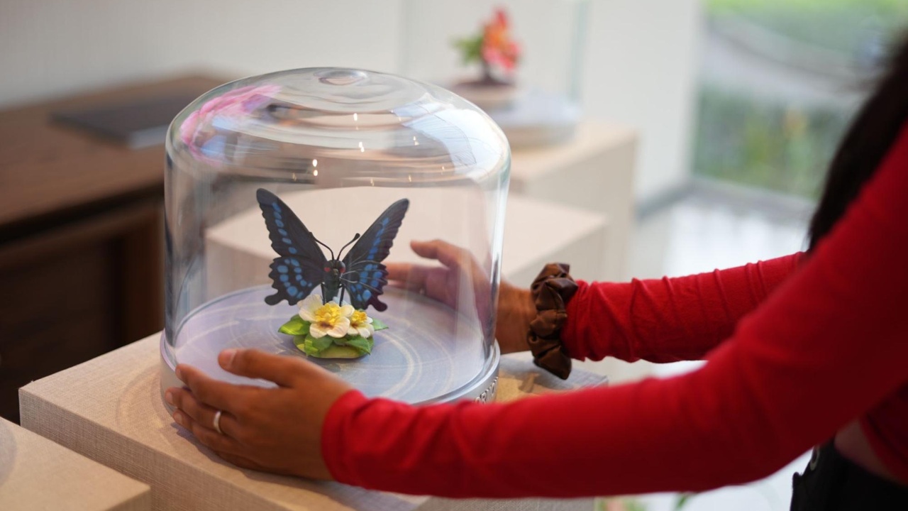 Butterfly biodiversity pod inside interactive experience centre